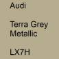 Preview: Audi, Terra Grey Metallic, LX7H.